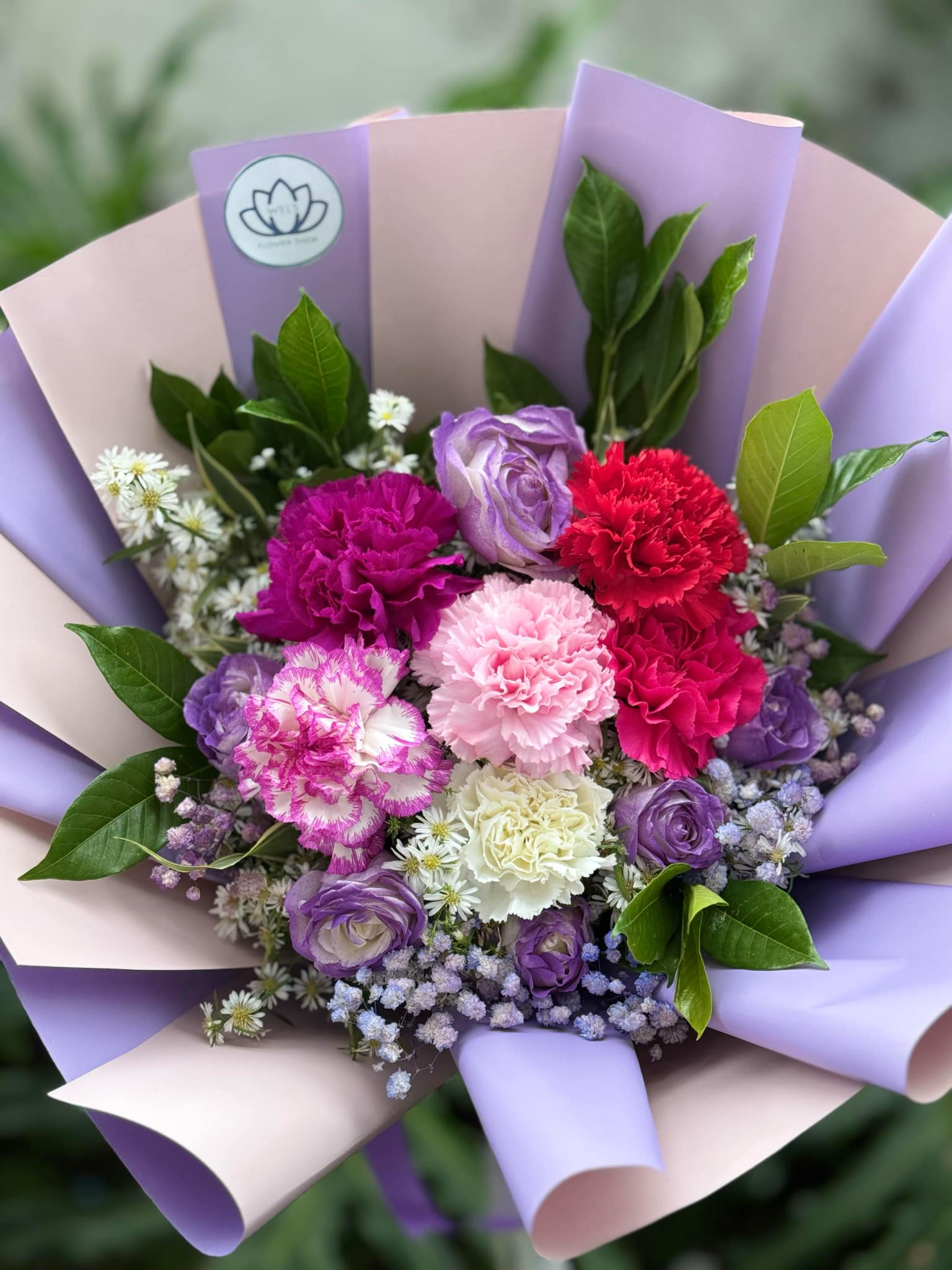 71 arrangement detail