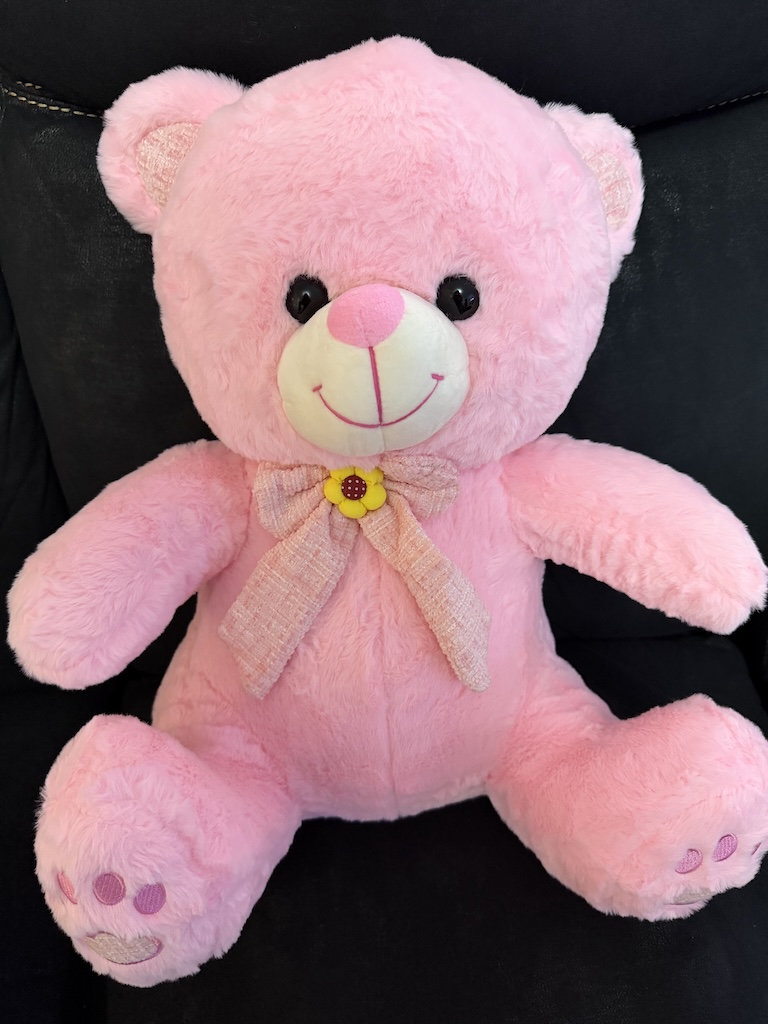 Stuffed Toy - PNK A